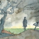 James Blake ジェームズブレーク / Colour In Anything 【CD】