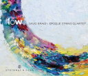 【輸入盤】 David Braid / 『flow』　デイヴィッド・ブレイド(ピアノ) 【CD】