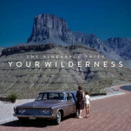 Pineapple Thief / Your Wilderness 【LP】