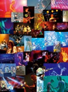 BUMP OF CHICKEN / BUMP OF CHICKEN 結成20周年記念Special Live「20」 (DVD) 【DVD】