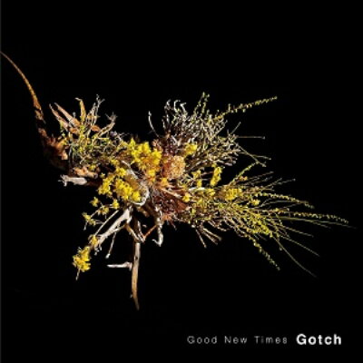 Gotch (後藤正文) / Good New Times (+写真集)【アナログ12inch】 【LP】
