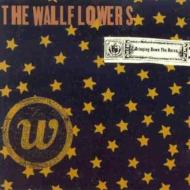 【輸入盤】 Wallflowers / Bringing Down The House 【CD】