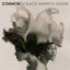 ͢ס Common  / Black America Again CD