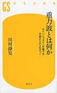 重力波とは何か アインシュタインが奏でる宇宙からのメロディー 幻冬舎新書 / 川村静児 【新書】