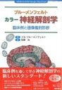 ブルーメンフェルト　カラー神経解剖学 臨床例と画像鑑別診断 / ハル・ブルーメンフェ 