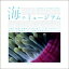 海のミュージアム 地球最大の生態系を探る / ルイス・ブラックウェル 【本】
