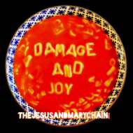 Jesus&Mary Chain ꡼ / Damage & Joy (2ȥʥ쥳) LP