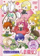 バラエティーDVDNo.4