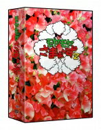 ����䤵�ޤ�����2 DVD-BOX��VOL.28��VOL.29�� ��DVD��