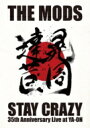 THE MODS モッズ / STAY CRAZY 【DVD】