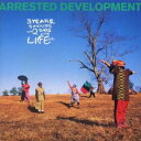 Arrested Development アレステッドディベロップメント / 3 Years 5 Months & 2 Days In The Life Of ...