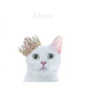 Aimer エメ / BEST SELECTION “blanc” 【初回生産限定盤B】 【CD】