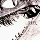 Boom Boom Satellites ブンブンサテライツ / UMBRA 【CD】