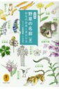 野草の名前「夏」 和名の由来と見分け方 ヤマケイ文庫 / 高橋勝雄 【文庫】