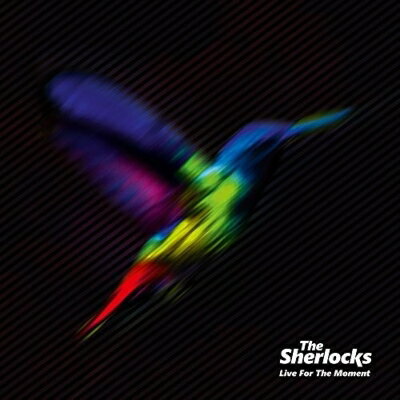 The Sherlocks / Live For The Moment 【CD】