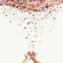 LACCO TOWER / 遥 【CD】