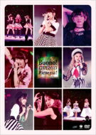 Buono ボーノ / Buono ライブ2017～Pienezza ～ (2DVD) 【DVD】