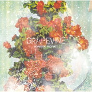 GRAPEVINE グレイプバイン / ROADSIDE PROPHET 【CD】