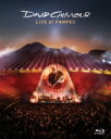 David Gilmour デビッドギルモア / ライヴ・アット・ポンペイ (Blu-ray) 【BLU-RAY DISC】