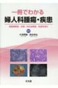 一冊でわかる婦人科腫瘍・疾患 周産期疾患、生殖・内分泌疾患、乳癌を含む / 片渕秀隆 【本】