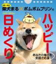 柴犬まるxポムポムプリンのハッピー日めくり / 小野慎二郎 【本】