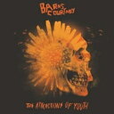 yAՁz Barns Courtney / Attractions Of Youth yCDz