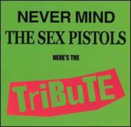 【輸入盤】 Never Mind The Sex Pistols Heres The Tribute 【CD】