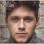 Niall Horan / Flicker 輸入盤 【CD】