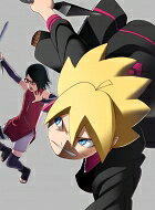 BORUTO-볼트- NARUTO NEXT GENERATIONS DVD-BOX 2 [완전 생산 한정판] [DVD]