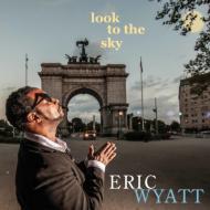 【輸入盤】 Benito Gonzalez / Look To The Sky 【CD】