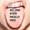  A  N*E*R*D (NERD) GkC[A[fB[   No One Ever Really Dies  CD 