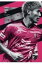 セレッソ大阪365 エル・ゴラッソ総集編2017 / サッカー新聞 エルゴラッソ編集部 【本】