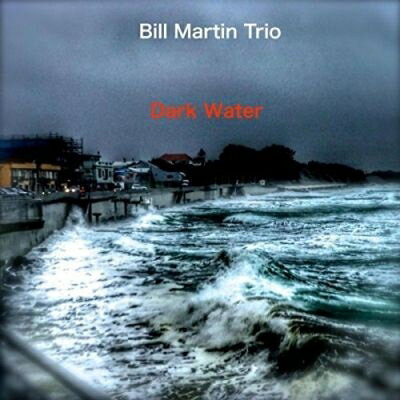 【輸入盤】 Bill Martin / Dark Water 【CD】