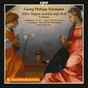 【輸入盤】 Telemann テレマン / 1716 / 17年の通年カンタータ集 フローリアン・ハイアリック&マンハイム・ホーフカペレ 【CD】
