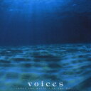 角松敏生 カドマツトシキ / voices under the water / in the hall 【CD】