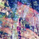 Over The Trees / From The Sidewalk 【CD】