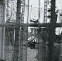 Paul Mccartney ポールマッカートニー / Chaos And Creation In The Backyard (通常輸入盤 / ブラック・ヴァイ...