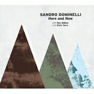 【輸入盤】 Sandro Dominelli / Here And Now 【CD】