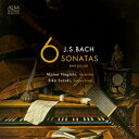Bach, Johann Sebastian バッハ / リコーダーとチェンバロによる6つのソナタ 根岸基夫、鈴木理賀 【CD】