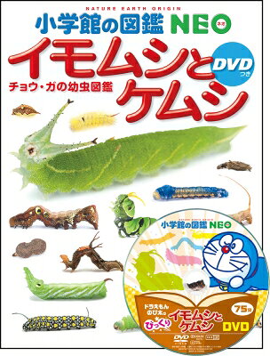 イモムシとケムシDVDつき チョウ・ガの幼虫図鑑 小学館の図鑑NEO / 鈴木知之 【図鑑】