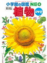 新版 植物DVDつき 小学館の図鑑NEO / 門田裕一 【図鑑】