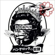 奄美皆既日食音楽祭 デラシネ06 /DVD デラシネ06 ドキュメント・オブ・奄美皆既日食音祭 [DVD]