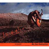 ELLEGARDEN エルレガーデン / My Own Destruction 【CD】