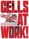 はたらく細胞 2 【完全生産限定版】 【BLU-RAY DISC】