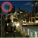きのこ帝国 キノコテイコク / タイム・ラプス 【CD】