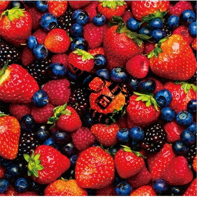 髭 (HiGE) ヒゲ / STRAWBERRY TIMES (Berry Best of HiGE) 【CD】