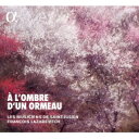 【輸入盤】 ニレの木陰で〜18世紀フランスのブリュネットとコントルダンス レ・ミュジシャン・ド・サン=ジュリアン 【CD】