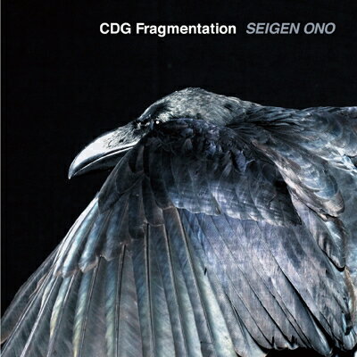 Seigen Ono 小野誠彦 / CDG Fragmentation (ステレオ / アナログレコード) 【LP】