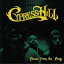 Cypress Hill ץ쥹ҥ / Beats From The Bong LP