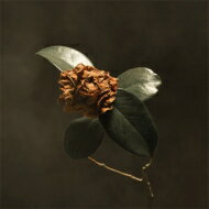 St Paul &amp; The Broken Bones / Young Sick Camellia 【CD】